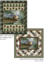 Bear In The Forest & Grizzly Trail by 